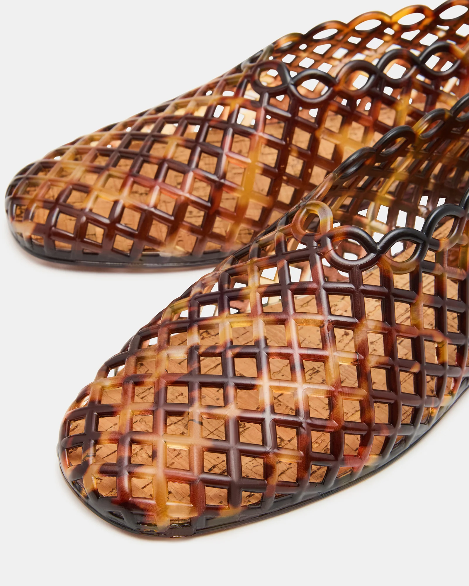 GROVE TORTOISE - Image 4